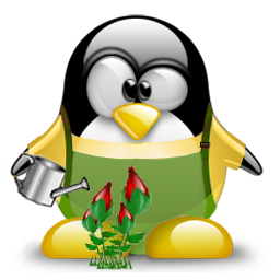 penguin pingouin pinguino 279